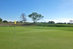 Darmor 5th Green